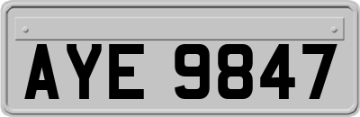 AYE9847