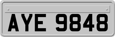 AYE9848