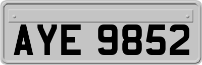 AYE9852