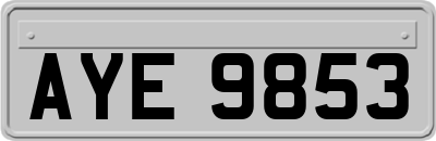 AYE9853