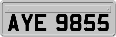 AYE9855