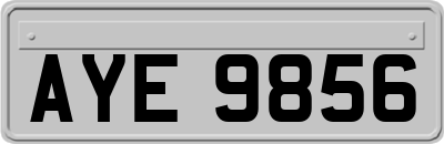 AYE9856