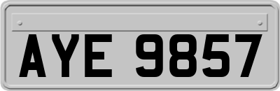 AYE9857