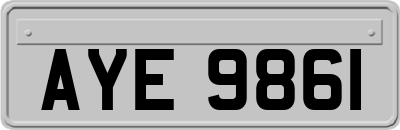 AYE9861
