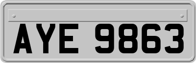 AYE9863