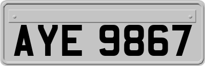 AYE9867