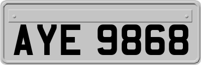 AYE9868