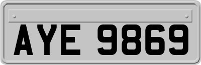 AYE9869