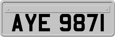 AYE9871