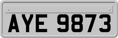 AYE9873