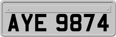 AYE9874