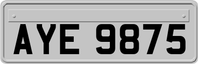 AYE9875