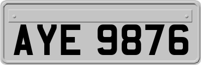 AYE9876