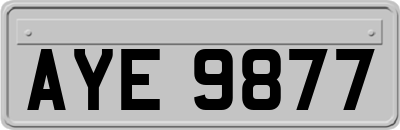 AYE9877