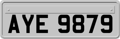 AYE9879