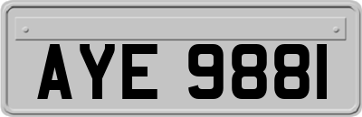 AYE9881