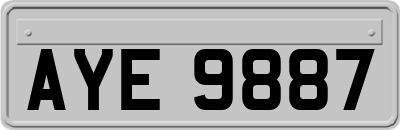 AYE9887