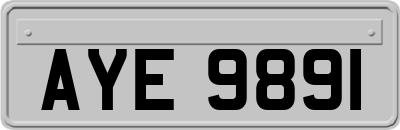 AYE9891
