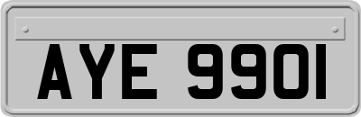 AYE9901