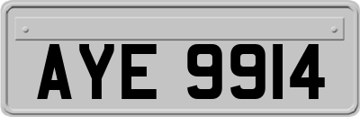AYE9914