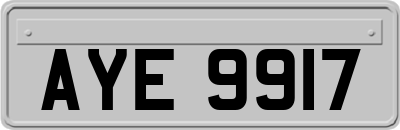 AYE9917