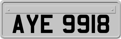 AYE9918