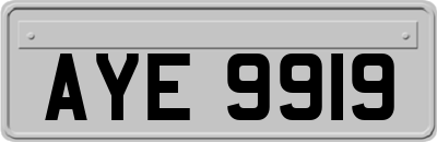 AYE9919