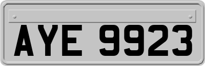 AYE9923