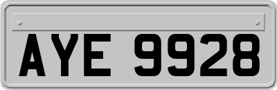 AYE9928