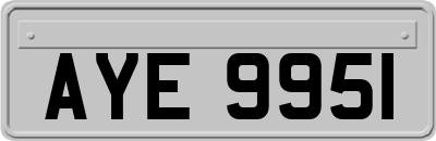 AYE9951