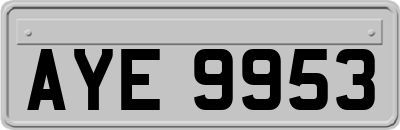 AYE9953