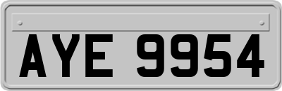 AYE9954