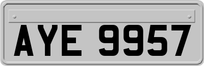 AYE9957