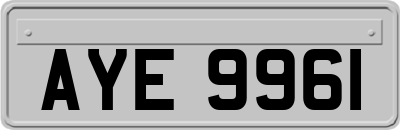 AYE9961