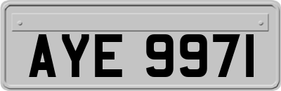 AYE9971