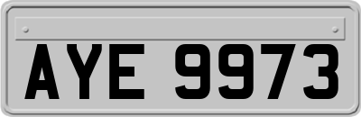 AYE9973