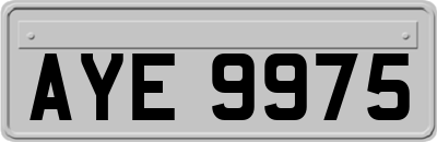 AYE9975