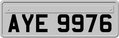 AYE9976