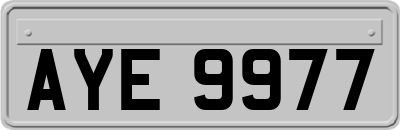 AYE9977
