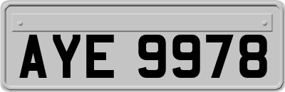 AYE9978