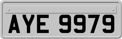 AYE9979