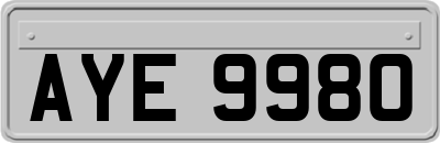 AYE9980