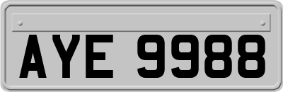 AYE9988