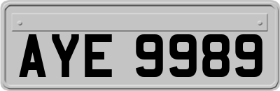 AYE9989