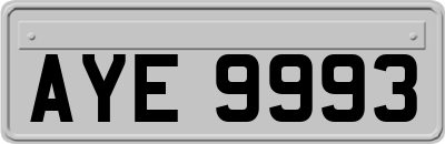 AYE9993