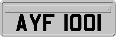 AYF1001