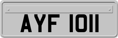 AYF1011