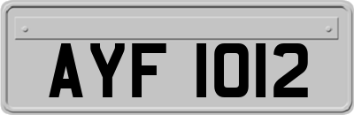 AYF1012