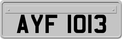 AYF1013