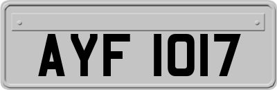 AYF1017